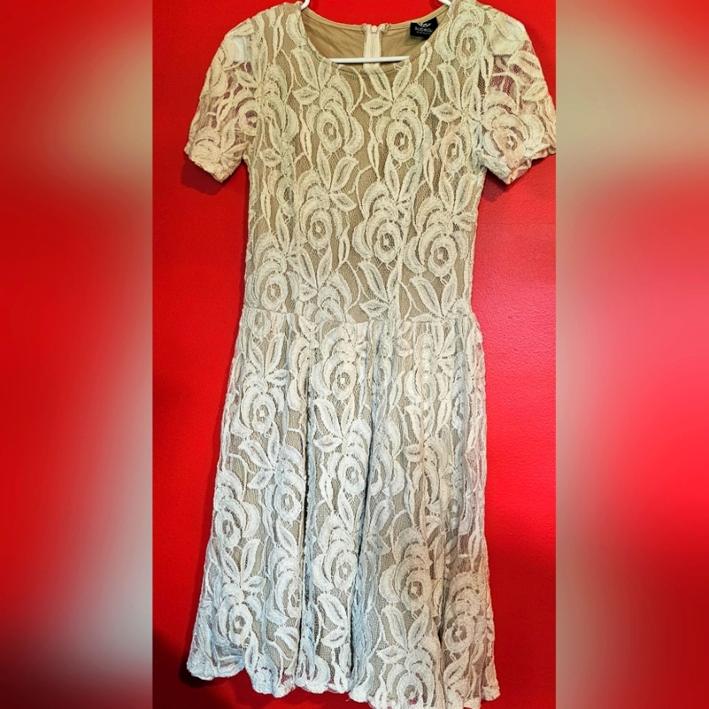 Elegant Cream And White Lace Dress